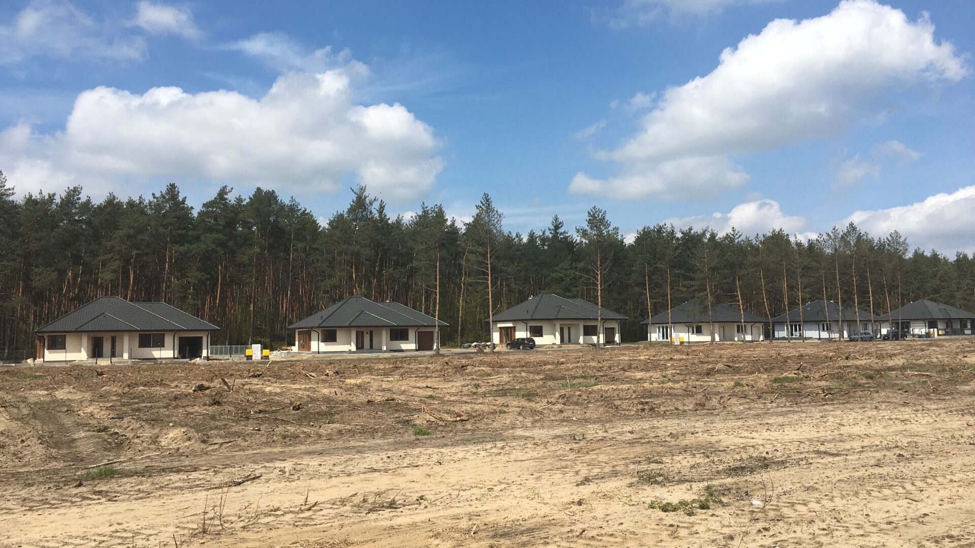 IMG_1701_low